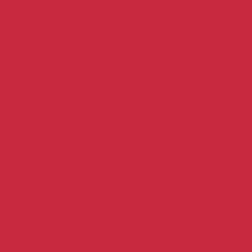 Yizhily Seamless Photo Photography Background Paper Backdrop for Photoshoot, Videos, YouTube, Livestream, 107" x36', Scarlet - color: Scarlet