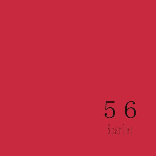 Seamless Photo Photography Backdrop Paper, Photo Background Paper Roll (Scarlet, 107”x39') - color: Scarlet, size: 107”x39'