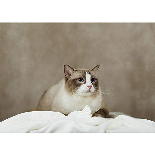 Kate 10x15ft/3m(W) x4.5m(H) Tan Backdrop Texture Brown Background Portrait Photography Studio Props - color: Tan, size: 10x15ft