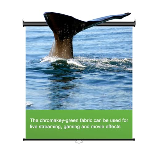 EMART 75 x 79in Retractable Green Screen, Chroma Key Panel Pull Down Auto-Locking and Self-Rewinding, Collapsible Wrinkle-Resistant Chromakey Backdrop for Zoom, Streaming, Photographic Studio