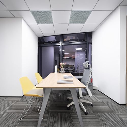 Pushglossy 4 Pack 23.75" X 47.75" X 0.2" Fluorescent Light Covers Classroom Office Diffuser Panels for 2x4ft Drop Ceiling Light Fixture Polycarbonate Replacement Cover for Hospital Home (Clear Black) - color: Clear Black