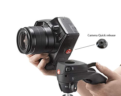 Manfrotto Compact Solid Aluminum Compact Quick Release Plate for Compact Action Tripod, Black (ROUND-PL)