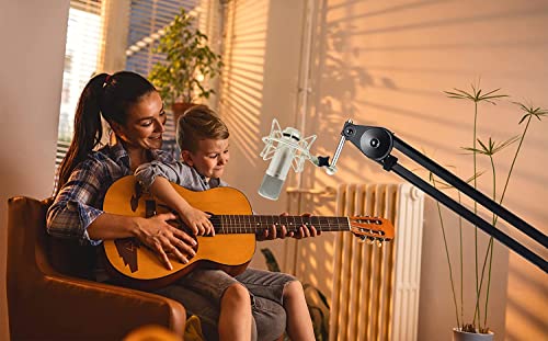 Grneric Metal Microphone Shockmount & Stand for Neumann TLM 103/M147 - Silver