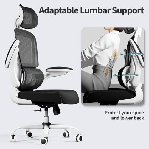 TRALT Office Chair Ergonomic Desk Chair, 330 LBS Home Mesh Office Desk Chairs with Wheels, Comfortable Gaming Chairs (1, Black & White) - color: Black & White