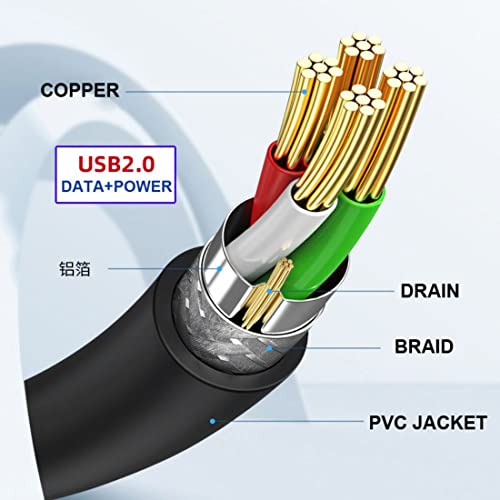 chenyang Motherboard 9/10Pin Male to USB 2.0 Male External Extension Nylon Braided Cable 20cm - style: Type-A Male