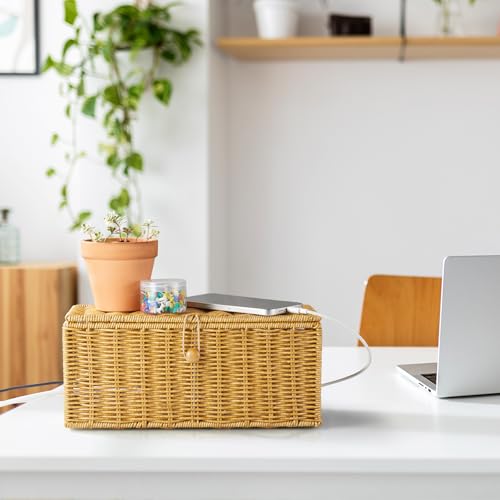 Cable Management Box, Handwoven Synthetic Rattan Cable Organizer, 2 Side Open Slots Cords Hider Box, Under Desk Cord Organizer for USB Wire, TV PC Charger & Power Strip, Natural