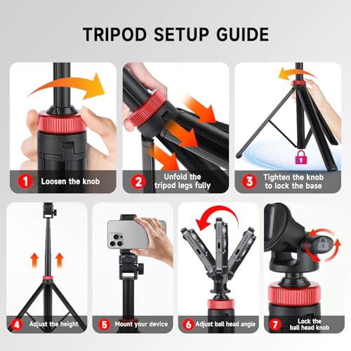 YSKE(MT-79) Light Stand Tripod 81", 7-Section 0.8lbs, Foldable - Camera Phone Mount for DSLR, GoPro, iPhone, LED Video Light, Ring Light, TikTok YouTube Creator
