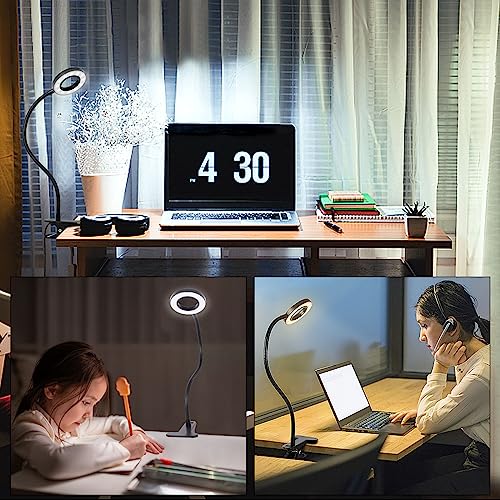Woputne Desk Clip on Lamp for Reading Home Office, with 5V 2A Adapter, 10 Dimmable Brightness 3 Modes, Clamp Reading Light for Bed Headboard, Craft (Black)… - size: Black-1 Piece-Standard-With Adapter