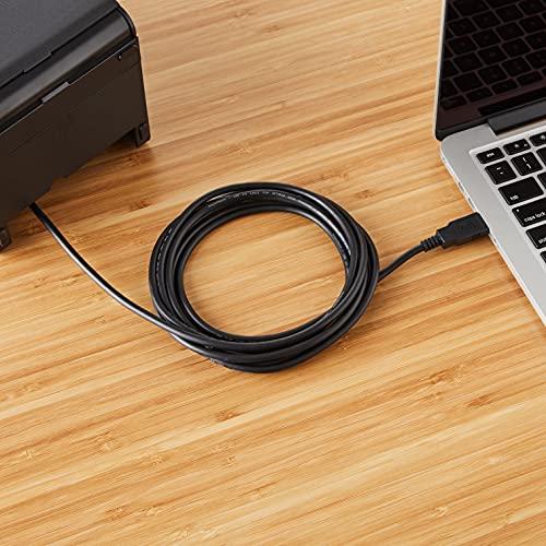 Amazon Basics USB-A to USB-B 2.0 Cable for Printer or External Hard Drive, Gold-Plated Connectors, 10 Foot, Black - size: 10 Feet