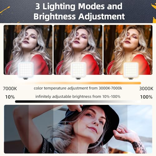 Zeadio All-in-One Video Rig Kit, Aluminum Handheld Camera Cage with RGB Video Light, Microphone, Top Handle,15mm Rod Guide, Extension Rods & Carrying Case for Filmmaking Vlogging Recording etc - style: Pro Kit