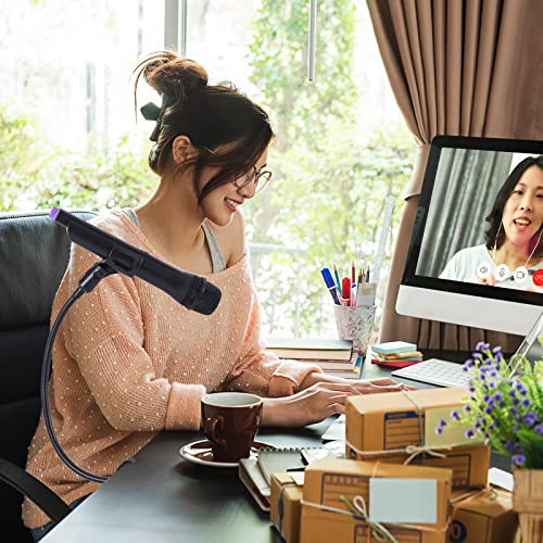 2 Sets Gooseneck Mic Stand 13 Inch Microphone Stand Flexible Gooseneck Desktop 3/8 to 5/8 Inch with Clip Desk Clamp for Podium, Lecture Recording Studio Podcast Meeting Radio Broadcasting Studio Live