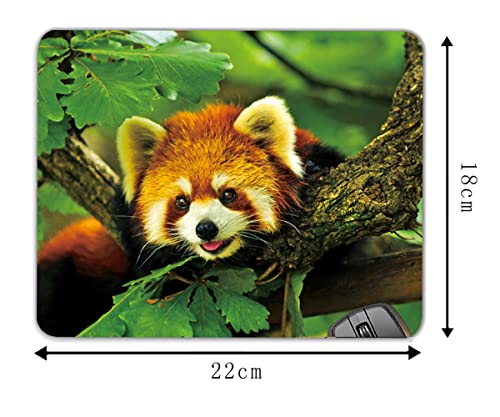 Cute red Panda Forest Animal Mouse Pad Mat Mousepad 8.6 X 7.1 in - color: Cute red Panda Forest