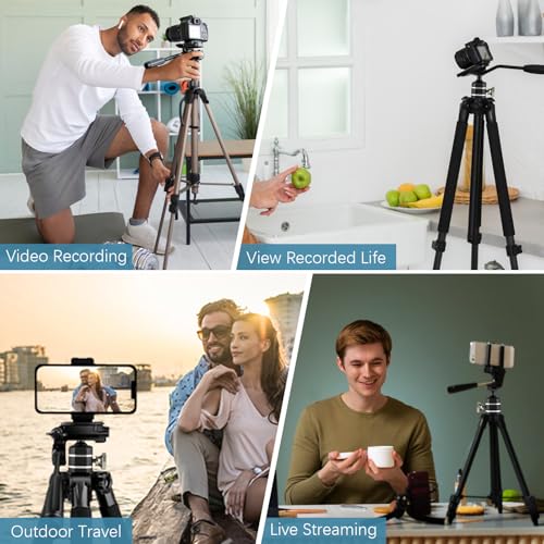 Universal Mini Ball Head Tripod Camera Screw Mount, Connect Holders and Devices, 1/4"-20 Thread, 360 Rotatable, 90 Tiltable, Loads to 10lbs, Silver, 1pcs