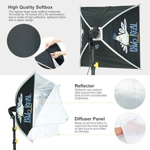 LINCO Lincostore Photo Video Studio Light Kit AM174 - Including 3 Color 5x10ft Backdrops (Black/White/Green) Background Screen