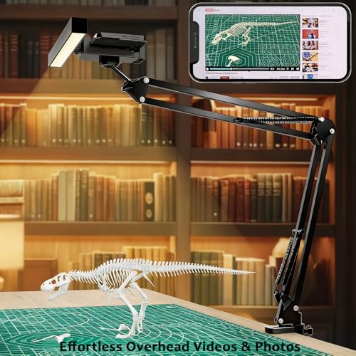 Desk Selfie Light with Overhead Phone Mount, Adjustable Arm & Phone Holder, USB Powered Video Light for Content Creation, Photo Shooting, Live Streaming,Video Recording - size: 9.8-inch LED light