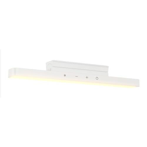 NEEWER Basics LED Chin Fill Lighting, 3W Bi Color Portable Desk Phone Selfie Photo Light, CRI90, 2200mAh Battery for TikTok Streaming Laptop Video Conference Recording Travel Makeup, TL106B