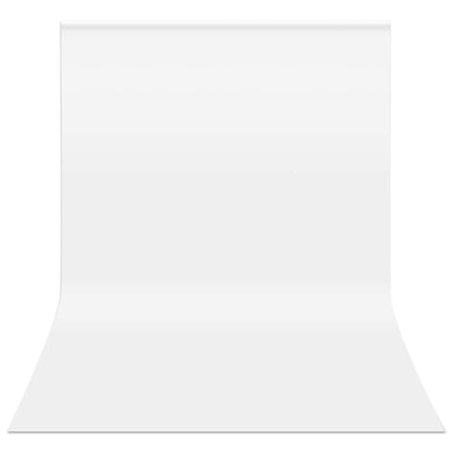 HEMMOTOP White Backdrop 10x12 ft Screen for Photography, Seamless Background for Photo Video Studio (Backdrop Only) - color: White, size: 10x12ft