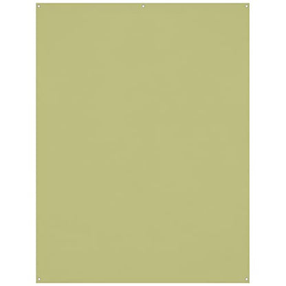 Westcott X-Drop Wrinkle-Resistant 5' x 7' (1.52 x 2.13m) Backdrop for Headshots, Photoshoots & Product Photos - Portable and Travel Friendly (Light Moss Green) - color: Light Moss Green