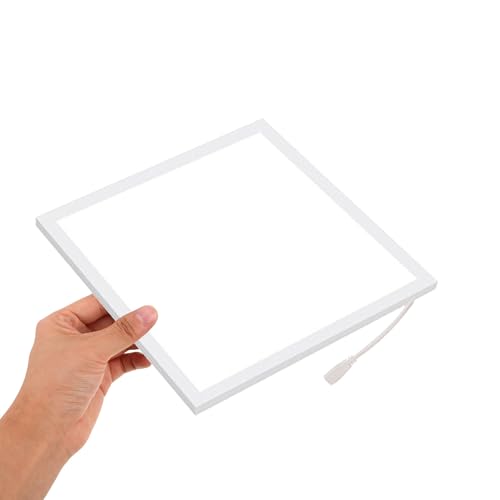 TEHAUX LED Photography Light Panel Portable 30cm White Light for Photo and Video Shooting Studio Lamp for Indoor Streaming and Videography
