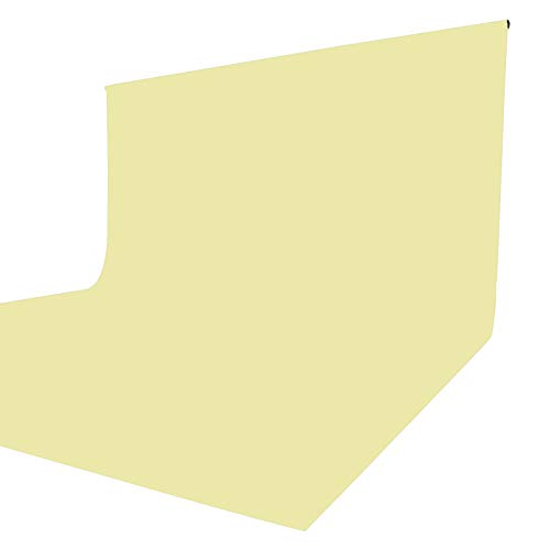 ISSUNTEX 6X9 ft/1.8X2.7 Meters Beige Background Photo Backdrop, Photo Studio, Collapsible High Density Screen for Video Photography and Television - color: Beige, size: 6X9 ft