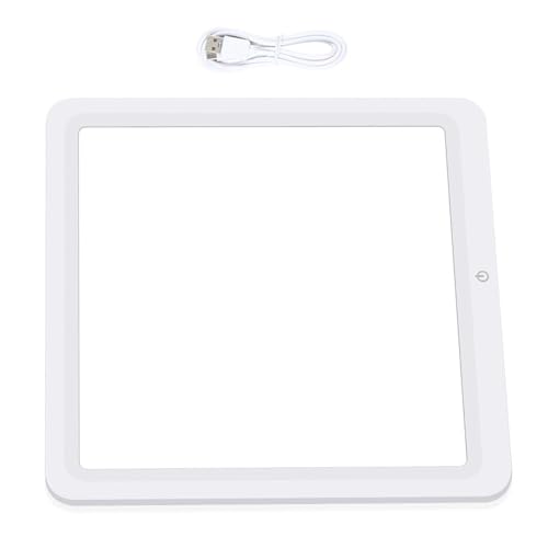 Artibetter LED Photography Light Panel Portable for Video Recording and Streaming, Touch Control Continuous Lighting, 30cm White Light for Indoor Studio Filming
