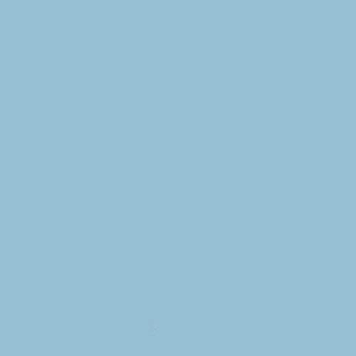 Yizhily Seamless Photo Photography Background Paper Backdrop for Photoshoot, 107" x36', Sky Blue - color: Sky Blue
