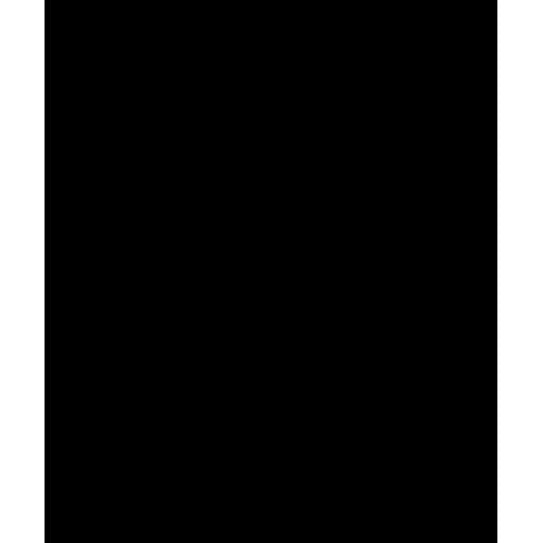 Polaroid Pro Studio Black Premium Muslin Backdrop (10' x 16.5')