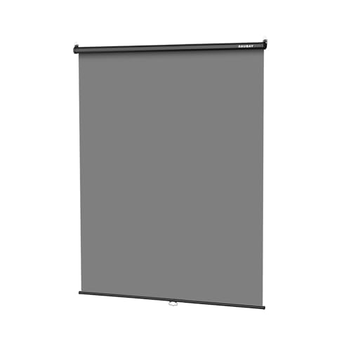 RAUBAY Retractable Pull Down Grey Screen Backdrop - 59.8" x 86.6" Collapsible Wall-Mount Background for Professional Video Production, Photography, TikTok and Video Conferencing - color: Grey, size: Standard(59.8 x 86.6in)