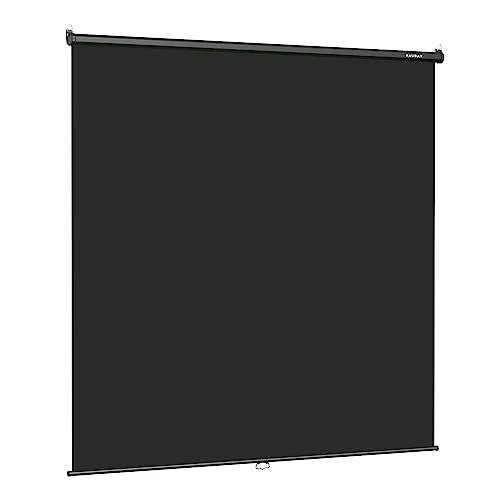 RAUBAY Retractable Pull Down Black Screen Backdrop - 78.7" x 86.6" Collapsible Wall-Mount Background for Professional Video Production, Photography, TikTok and Video Conferencing - color: Black, size: Wider(78.7 x 86.6in)