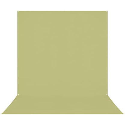 Westcott X-Drop Pro Wrinkle-Resistant 8' x 13' (2.44 x 3.96m) Sweep Backdrop for Full-Body Photos & Group Portraits, Video Interviews & Photo Booths - Portable and Travel Friendly (Light Green Moss) - color: Light Green Moss
