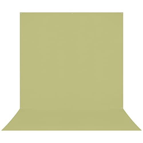Westcott X-Drop Pro Wrinkle-Resistant 8' x 13' (2.44 x 3.96m) Sweep Backdrop for Full-Body Photos & Group Portraits, Video Interviews & Photo Booths - Portable and Travel Friendly (Light Green Moss) - color: Light Green Moss
