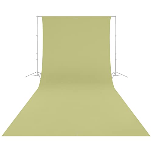 Westcott Wrinkle-Resistant 9' x 20' (2.75 x 6.1m) Backdrop for Photoshoots, Group Portraits, & Photo Booths - Portable and Travel Friendly (Light Moss Green) - color: Light Moss Green