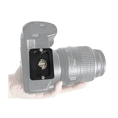 Regetek Aluminum PU-50 Quick Release Plate with 1/4" Screw, Universal Slide-in 50mm*38mm QR Plate for Manfrotto Arca Swiss Benro Acratech Kirk Wimberley Gitzo RRS Markins SUNWAYFOTO SIRUI(Pack of 2)