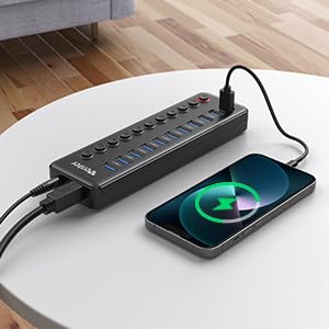 Powered USB Hub, Wenter 11-Port USB Splitter Hub (10 Faster Data Transfer Ports+ 1 Smart Charging Port) with Individual LED On/Off Switches, USB Hub 3.0 Powered with Power Adapter for Mac, PC - size: Plastic 10+1 Powered USB Hub