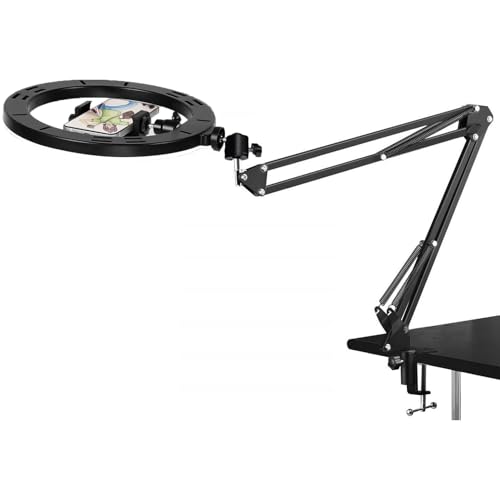 Webcam Selfie Light with Clamp Mount Stand,10 Inch Ring Light with Boom Arm Holder Compatible with Logitech C920 StreamCam C922 C930e C925e C615 Brio 500 4K webcams