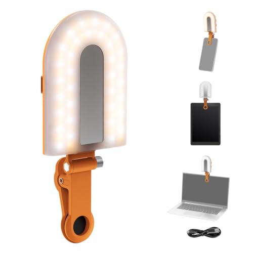 NEEWER GM66 Clip on Selfie Light for Phone, 68 LEDs, Bi Color Lighting Compatible with iPhone with CRI97+, 2000mAh for TikTok Vlog Recording Streaming Laptop Computer Webcam Video Conference Makeup