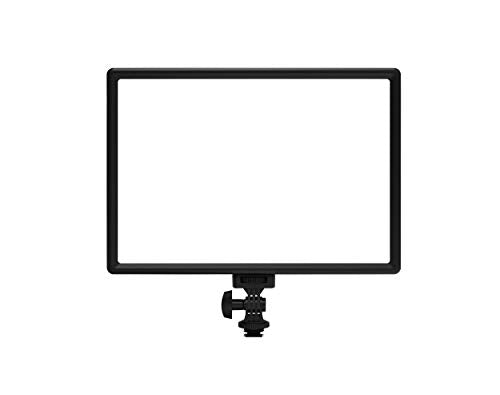 RALENO LED Video Light, White Camera Light for Pictures Video Recording with 4000mAh Battery Support Type-C USB Power Supply, CRI>95 2500K-6500K Photo Lights for Outdoor Photography Live Streaming - color: White