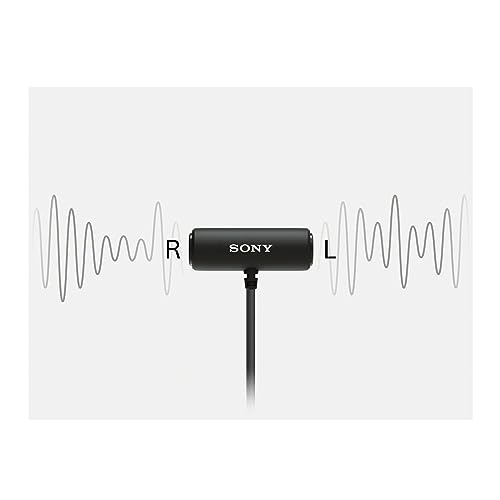 Sony Compact Stereo Lavalier Microphone ECMLV1,Black, Small
