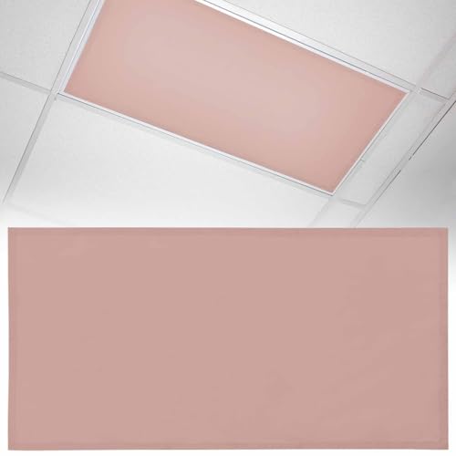 1 Pack Fluorescent Light Cover 4x2 Feet, Peach Pink Lights Filters Drop Fluorescent Lights Shade Panel, Farmhouse Solid Pink Color Modern Art Magnetic Ceiling Light Cover for Classroom Office - color: Peach Pink, size: 1 Piece