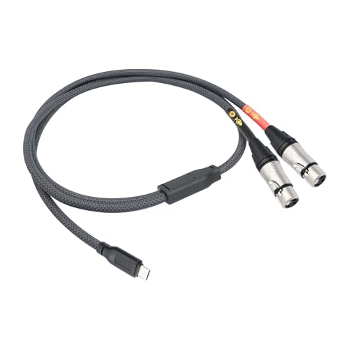 HUALUE 6.6FT Duplex XLR-Type USB-C Stereo Recording Cable, iPhone Mic Cable with USB-C to XLR Female for iPhone 15 & iPad - color: silver, size: 6.6FT