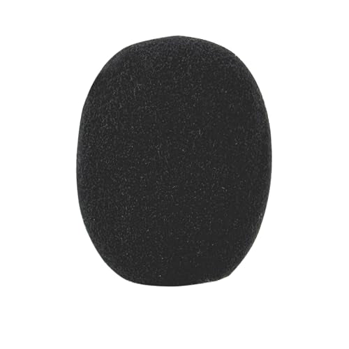 CAD Audio C105 Cymbal and Hi-Hat Condenser Microphone