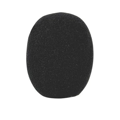 CAD Audio C105 Cymbal and Hi-Hat Condenser Microphone