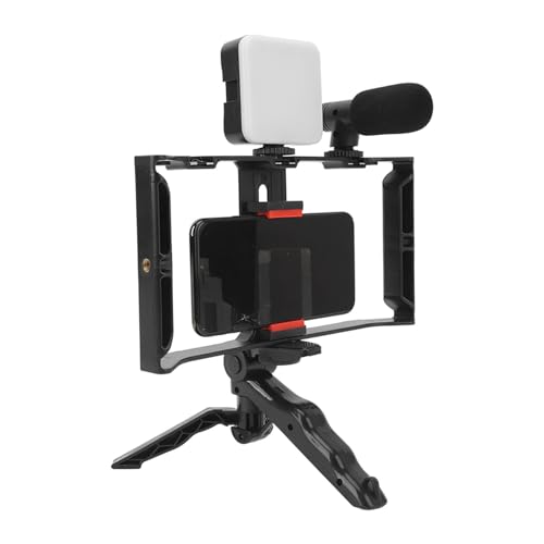 Phone Live Streaming Kit, Wireless Vlogging Kit with Fill Light Microphone and Handheld Tripod, 3 - Level Brightness Smartphone Video Rig for Live Selling Online Teaching