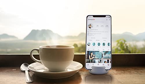 GoDonut Mini – Portable Keychain Cell Phone Stand & Holder – Desk Accessory Perfect for Travel, Office & Nightstand – Compatible with iPad mini and Smartphones - Gray - color: Gray