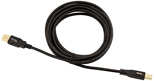 Amazon Basics USB-A to USB-B 2.0 Cable for Printer or External Hard Drive, Gold-Plated Connectors, Black, 10 Foot - size: 10 Feet