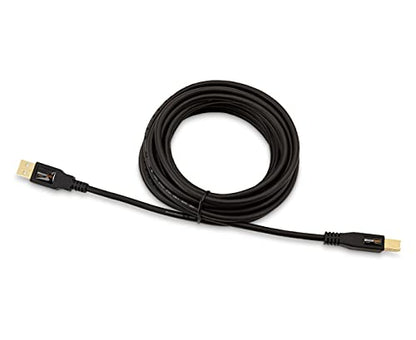 Amazon Basics USB-A to USB-B 2.0 Cable for Printer or External Hard Drive, Gold-Plated Connectors, 16 Foot, Black - size: 16 Feet