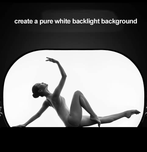 Selens Soft White Diffuser Foldable Light Diffuser Light Diffusion Panel with Carry Bag, Diffuser Fabric Light Modifier for TV Production Video Studio Photography Interview Portrait Shots -31x47in… - size: 31x47inch/80x120cm with carrying bag