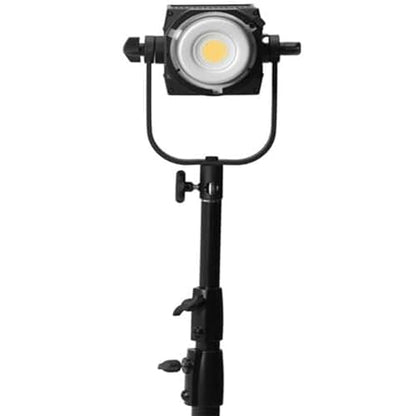 Nanlite FS-300B 350W Bi-Color LED Video Light, 2700K-6500K LED Spotlight, CRI 96+, Bowens Mount, App Control, Professional Lighting for Photography, Video, YouTube & Live Streaming