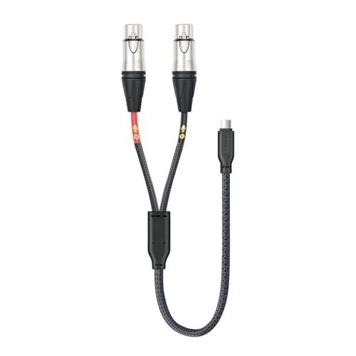 HUALUE 3.3Feet Stereo Dual XLR Female to USB C,Smartphone USB C Microphone Cable，Dual Channel Stereo Input USB C to XLR Female for iPhone 15 ipad Dynamic Microphone Laptop - color: silver, size: 3.3FT