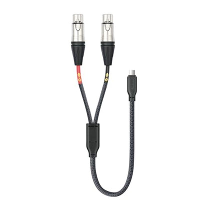 HUALUE 3.3Feet Stereo Dual XLR Female to USB C,Smartphone USB C Microphone Cable，Dual Channel Stereo Input USB C to XLR Female for iPhone 15 ipad Dynamic Microphone Laptop - color: silver, size: 3.3FT